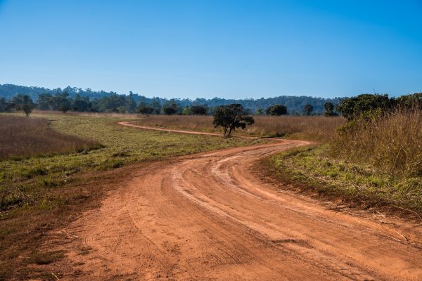 Dirt Driveway Repair in Gainesville