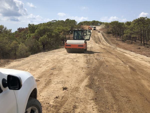 Driveway Grading in Gainesville