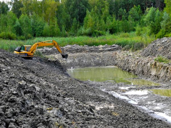 Fish Pond Digging in Gainesville