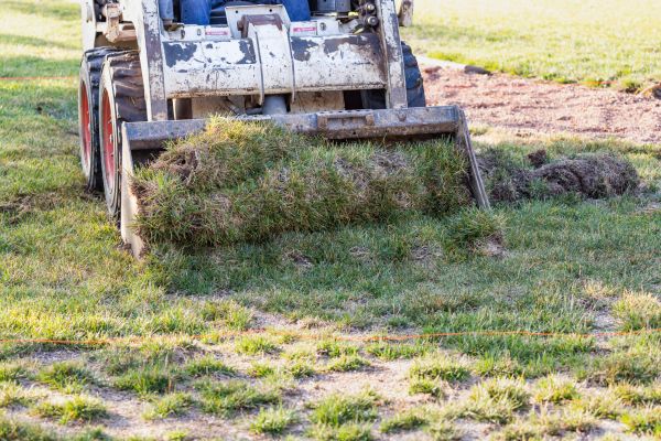 Landscape Leveling in Gainesville