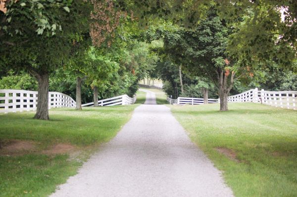 Cost of Gravel Road Installation in Gainesville