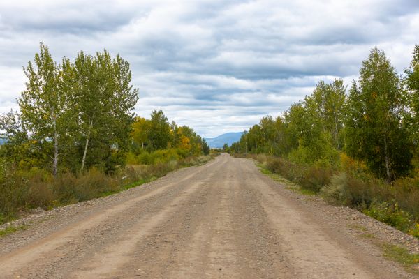 Dirt Road Repair in Gainesville