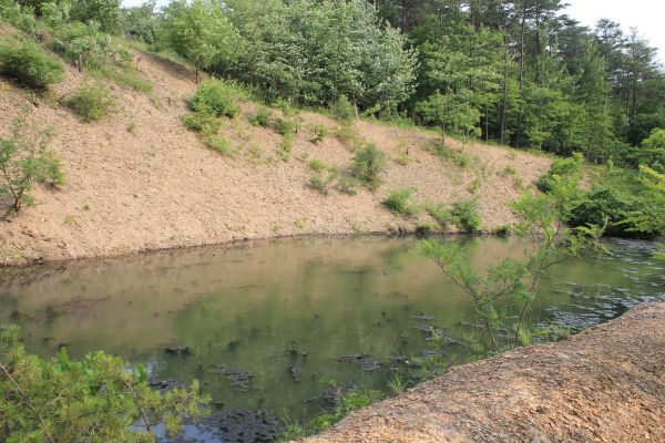 Cost of Pond Erosion Repair in Gainesville