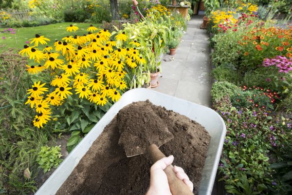 Cost of Topsoil Installation in Gainesville