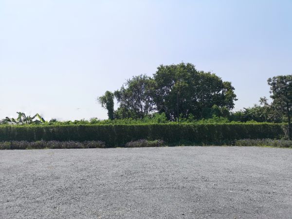 Gravel Parking Lot Grading in Gainesville